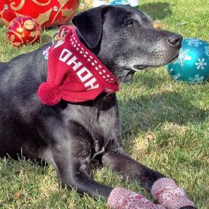 Meet your Posher, Kimberlee